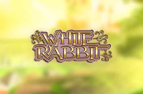 White Rabbit Slot Overview
