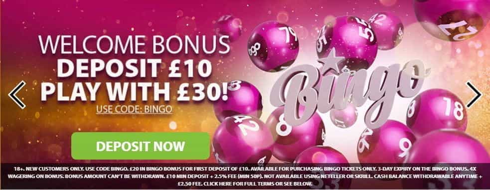 bingo free welcome bonus