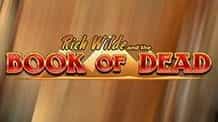 Play'n GO's Book of Dead slot.