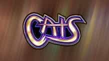 Cats slot logo.