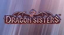The logo for the Dragon Sisters slot game 