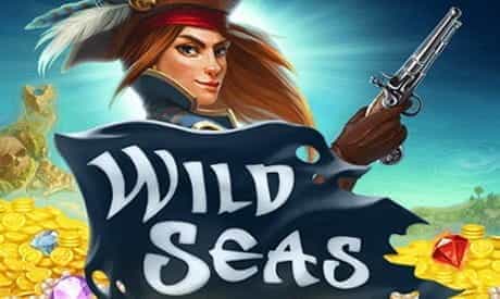 Image showing the Wild Seas slot game