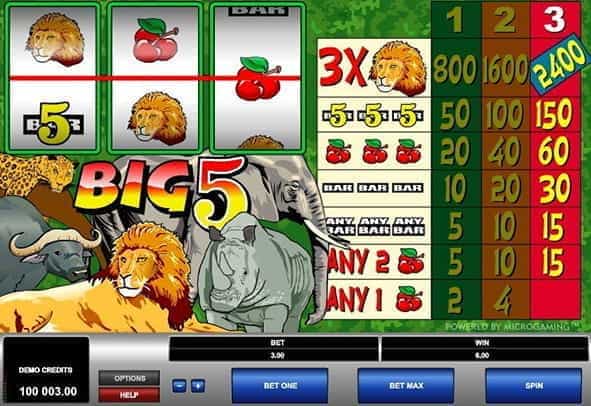 In-game view of the Big 5 online slot from Microgaming.