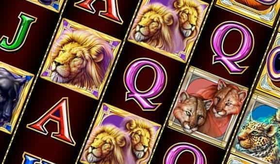 Cats, the feline themed slot from marketleaders, IGT