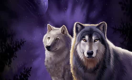 wolf run online slot game free