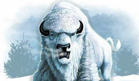 White Buffalo on the Internet
