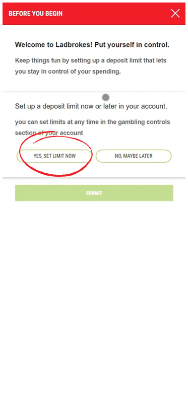 The Responsible Gambling Prompt at an Online Casino