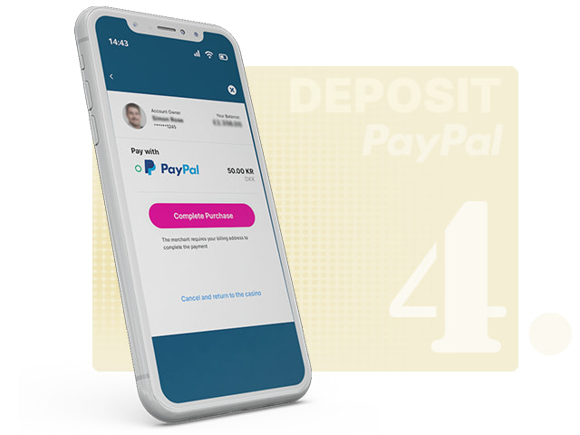 PayPal Log-in Screen