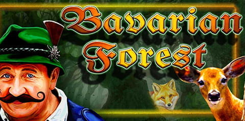 Bavarian Forest slot Casino technology