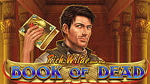 Slotul Book of Dead de la Play n Go