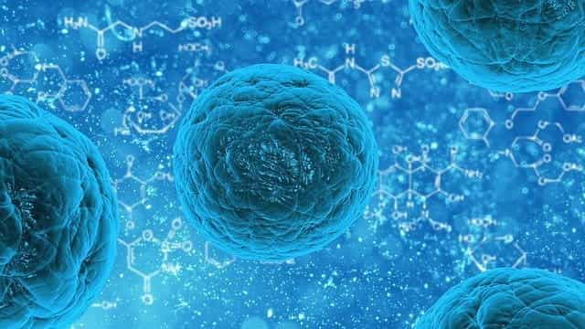 Virus and bacteria molecules.