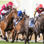 Racehorses during a race.