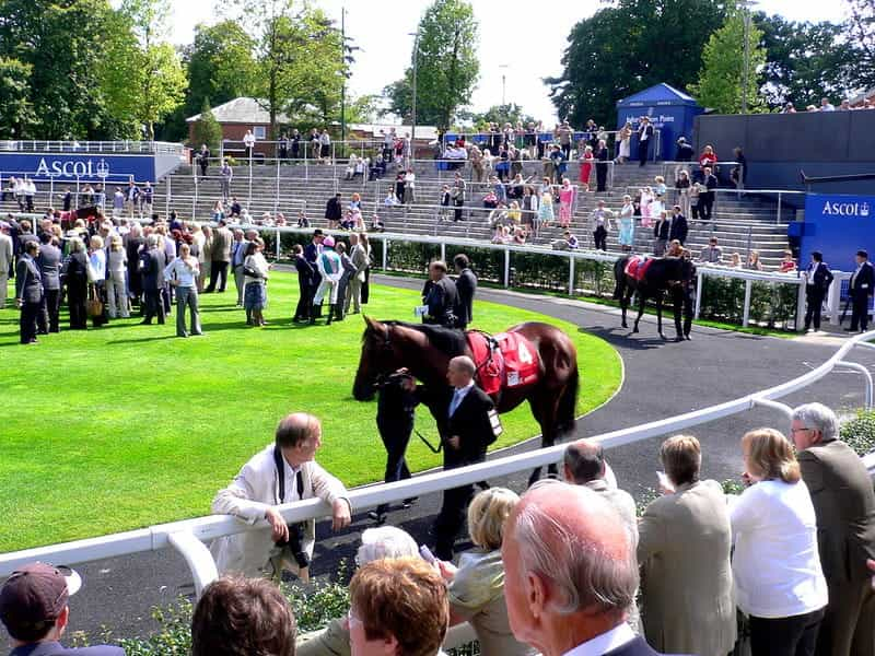 Ascot parade ring on race day. ©HerryLawford