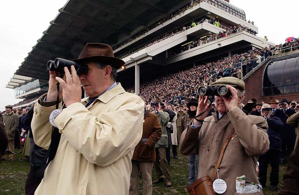 Racegoers watch the action at Cheltenham