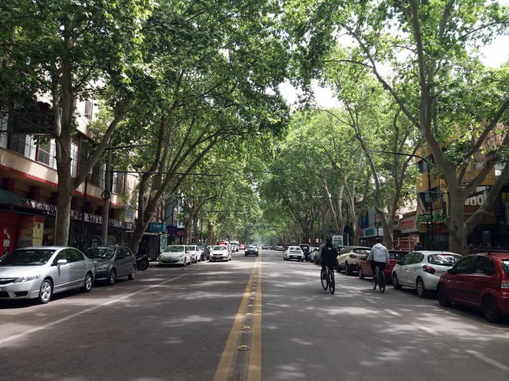 A tree-lined street in the capital of the province, Mendoza. 