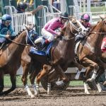 An image showing a horse race getting under way.