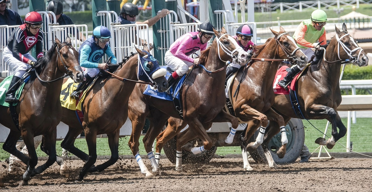 An image showing a horse race getting under way.