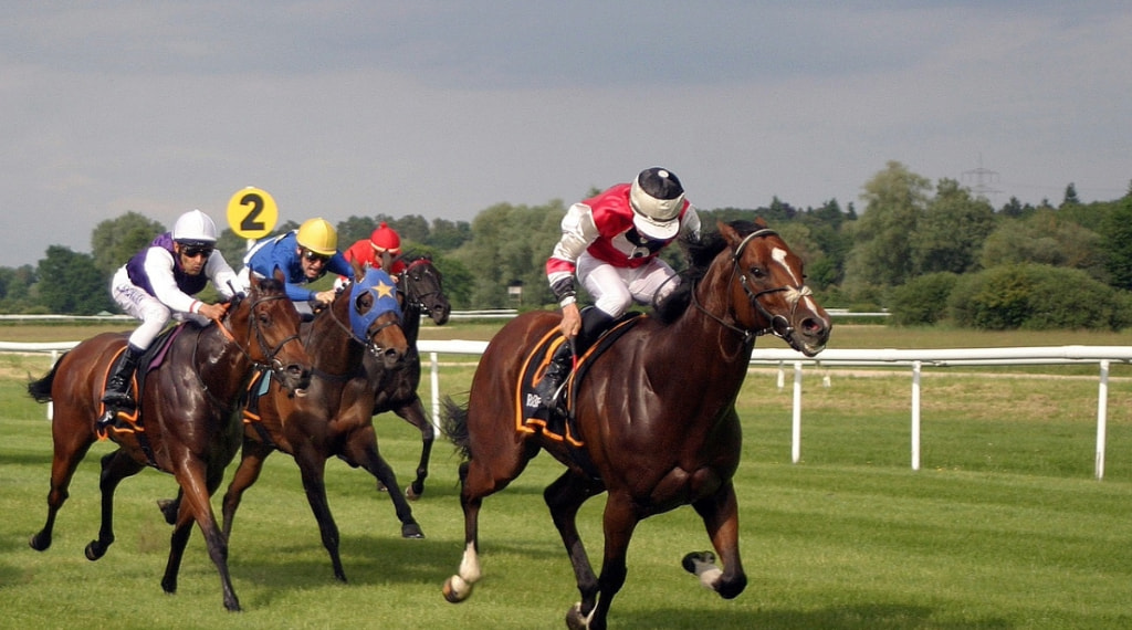 The Two Lead Riders in a Horse Race