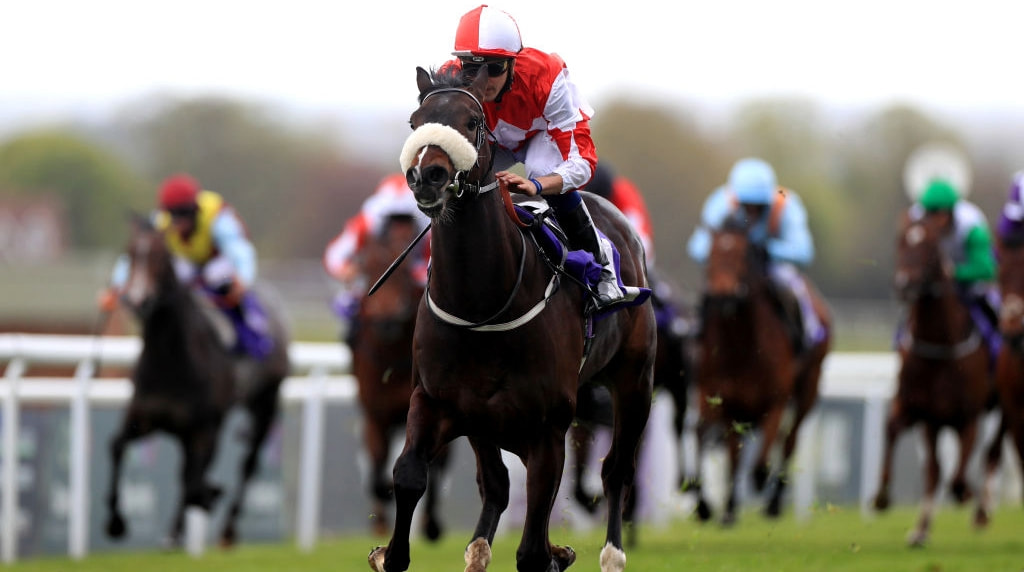 Racehorse Aleezdancer Seen Winning at Doncaster Racecourse.