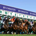 Image of Flemington Racecourse Starting Line with Participants