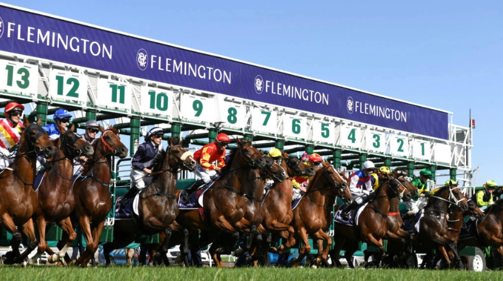 Image of Flemington Racecourse Starting Line with Participants