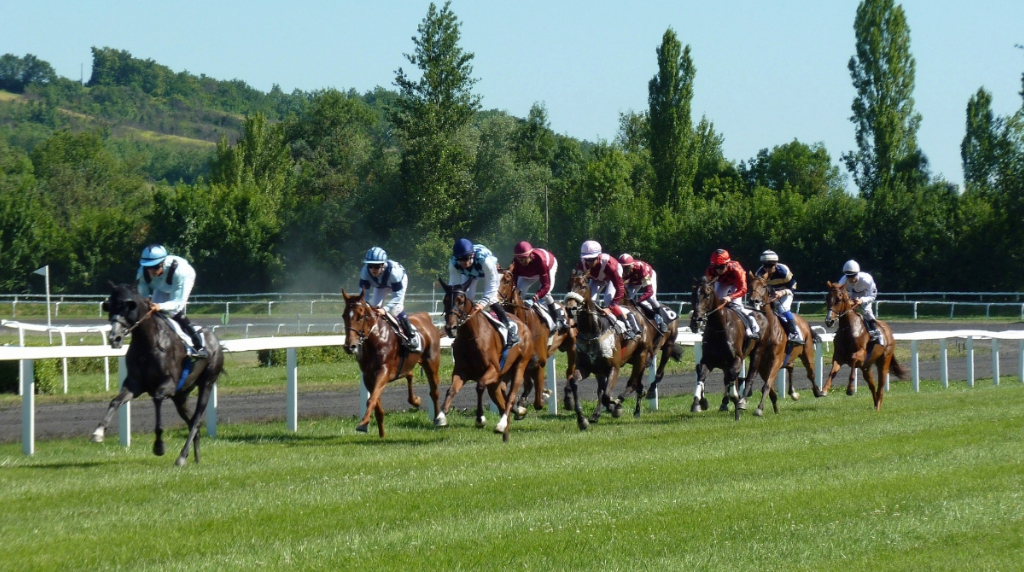 Horses Competing in a Professional Race