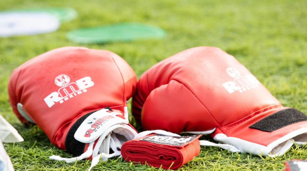 A Pair of Boxing Gloves Lying on the Grass