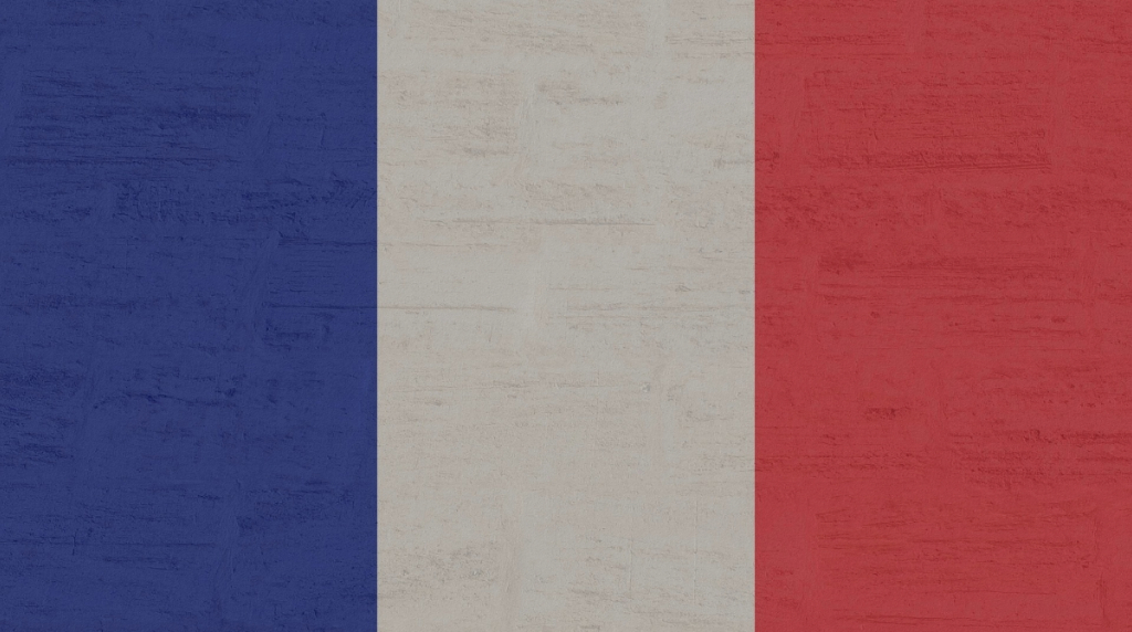 A Picture of the French Flag