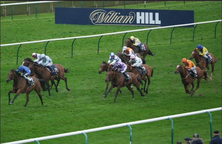 Horses Racing with William Hill as a Sponsor