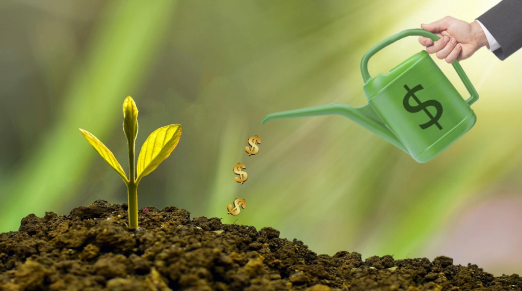 A Watering Can with a Dollar Sign and a Flower