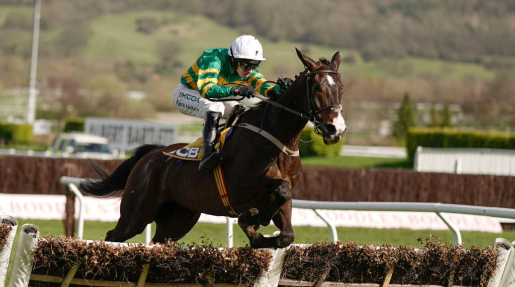 Mark Walsh Riding Majborough to win the 2024 JCB Triumph Hurdle at the Cheltenham Festival.