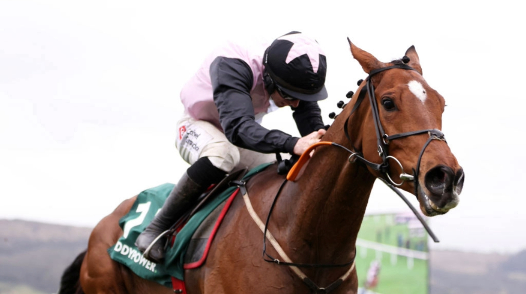 Teahupoo and Jack Kennedy powering clear in the 2024 Stayers Hurdle.